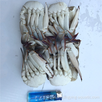 Zhoushan Crab Blue Bơi đông lạnh